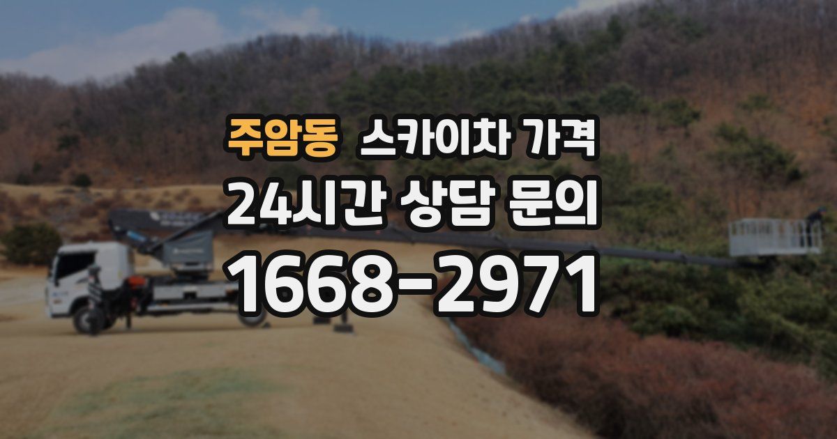 주암동 스카이차 가격