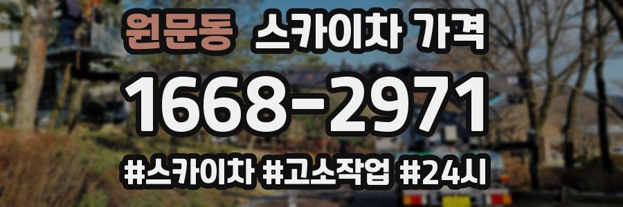 원문동 스카이차 가격