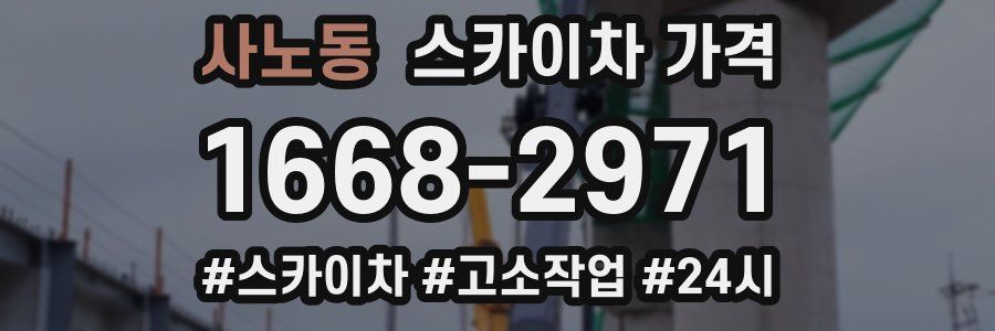 사노동 스카이차 가격