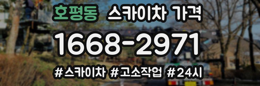 호평동 스카이차 가격