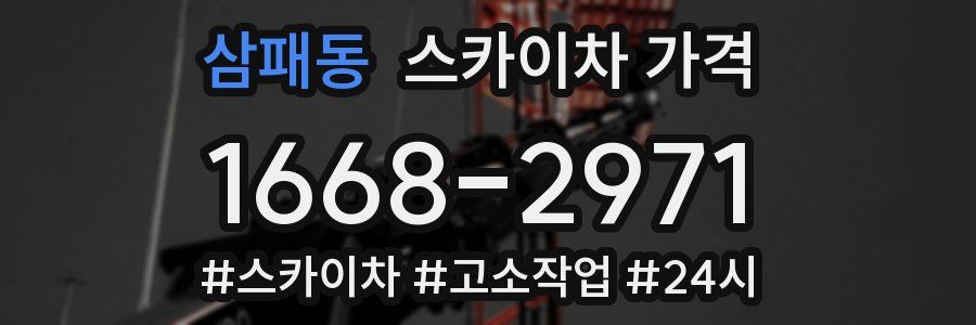 삼패동 스카이차 가격