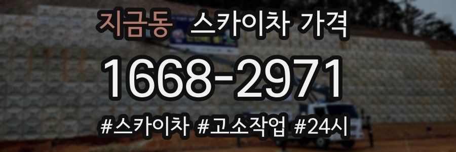 지금동 스카이차 가격