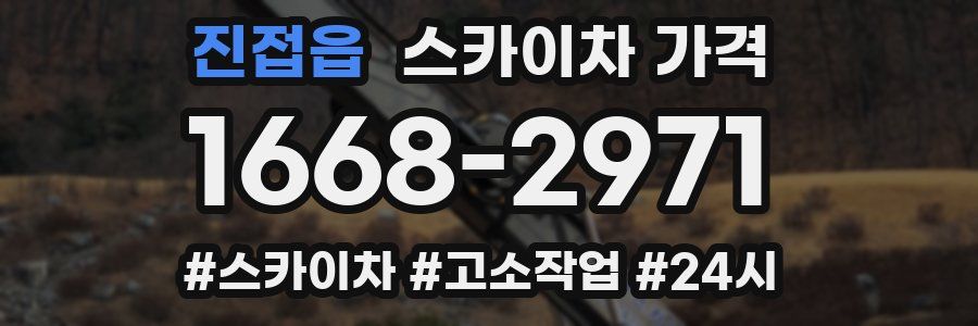 진접읍 스카이차 가격