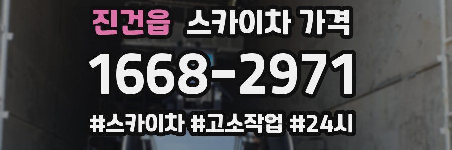 진건읍 스카이차 가격