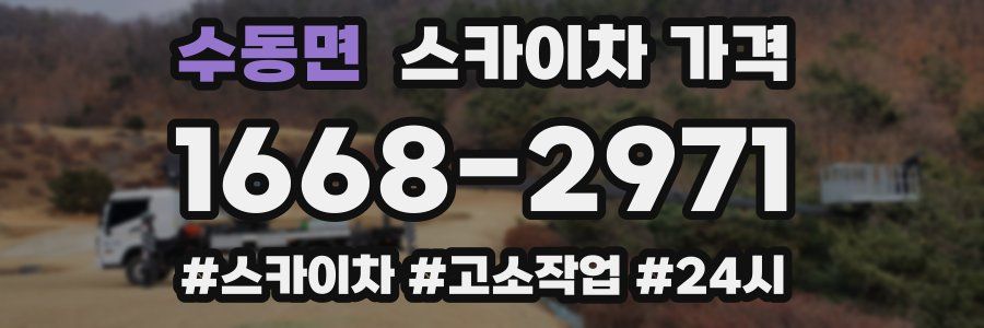 수동면 스카이차 가격