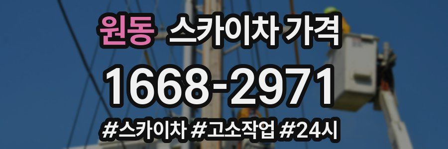 원동 스카이차 가격