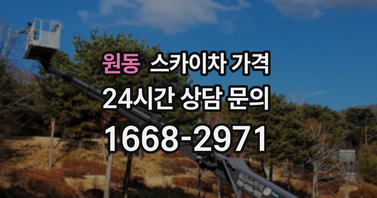 원동 스카이차 가격