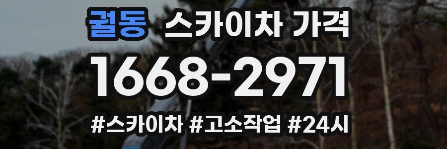 궐동 스카이차 가격