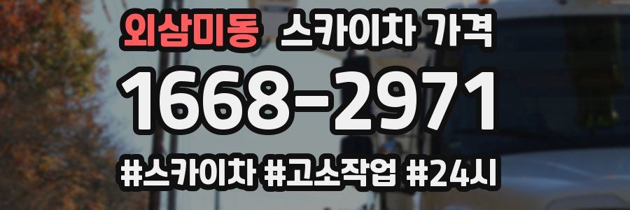 외삼미동 스카이차 가격