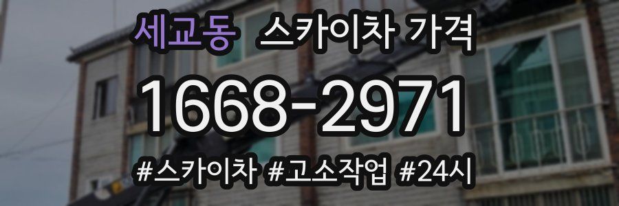 세교동 스카이차 가격