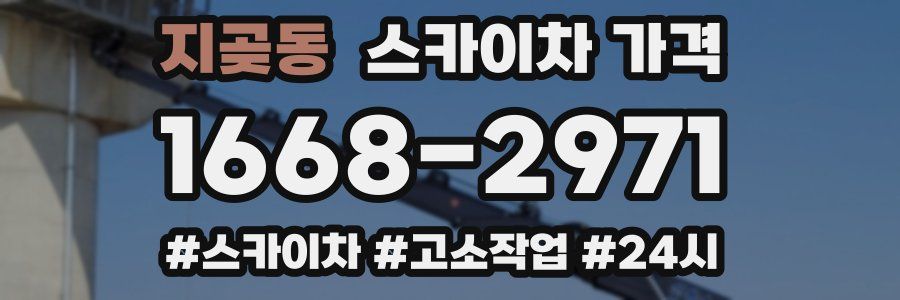 지곶동 스카이차 가격