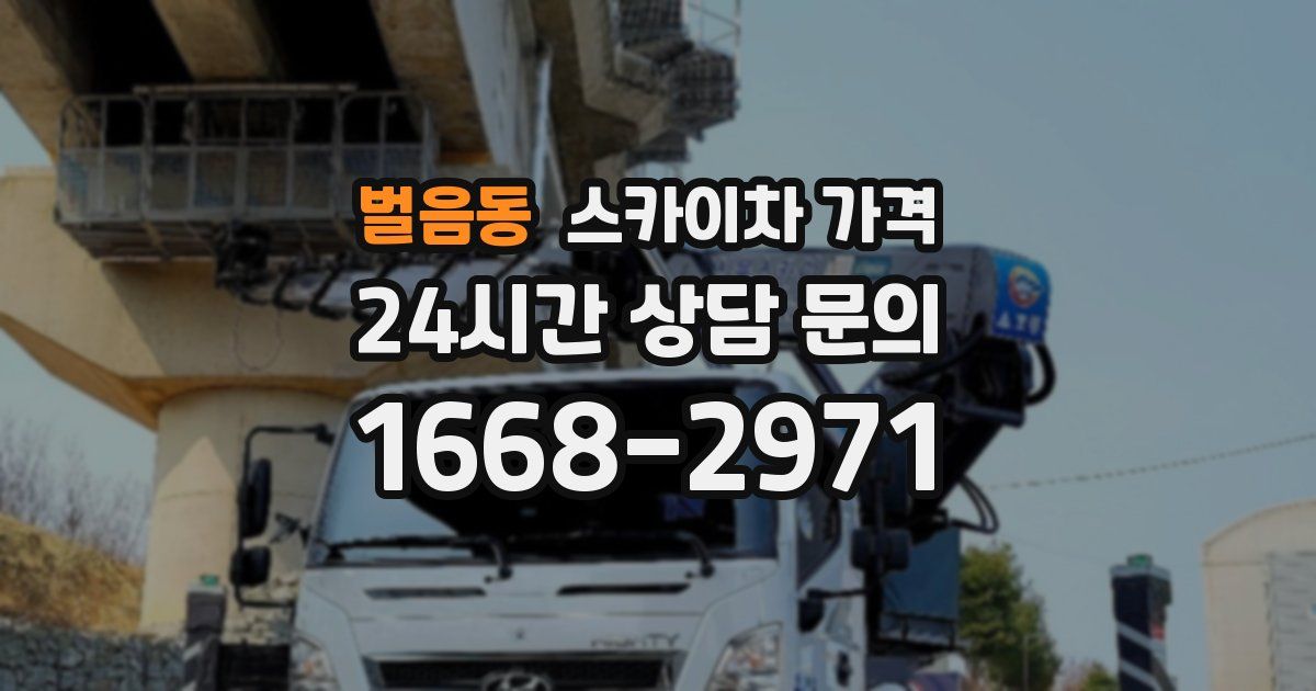 벌음동 스카이차 가격