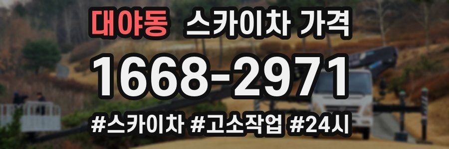 대야동 스카이차 가격