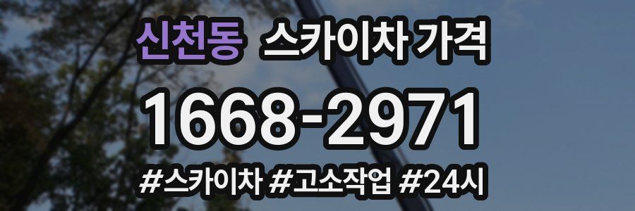 신천동 스카이차 가격