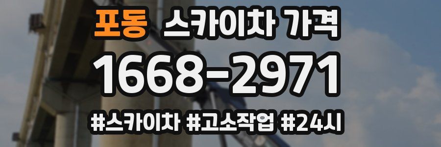 포동 스카이차 가격