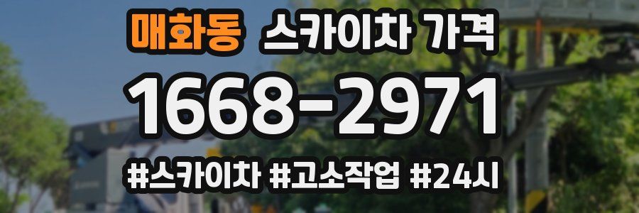 매화동 스카이차 가격