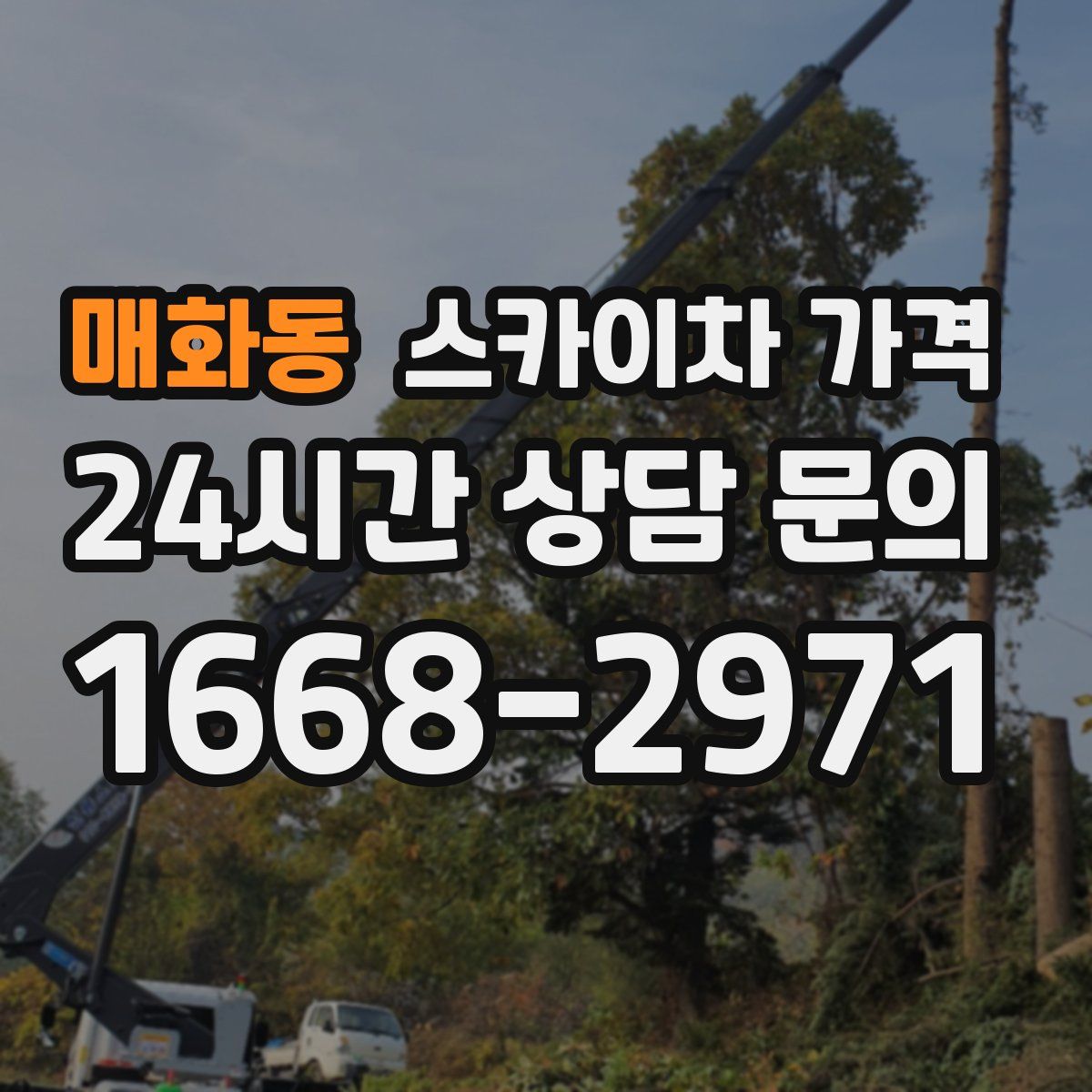 매화동 스카이차 가격