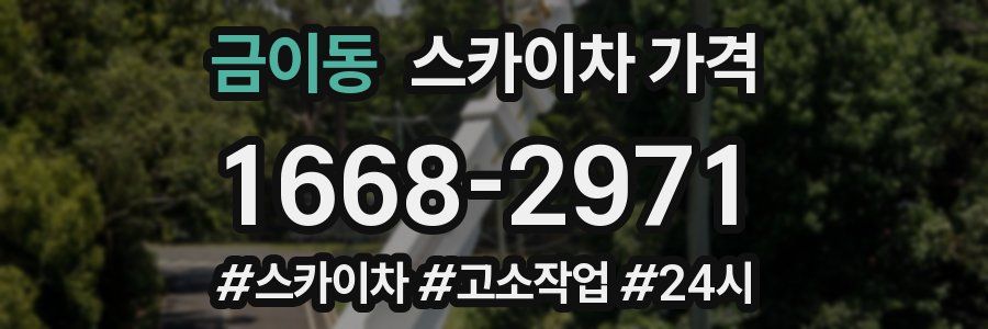 금이동 스카이차 가격