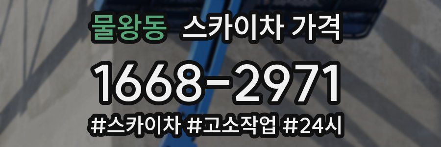 물왕동 스카이차 가격