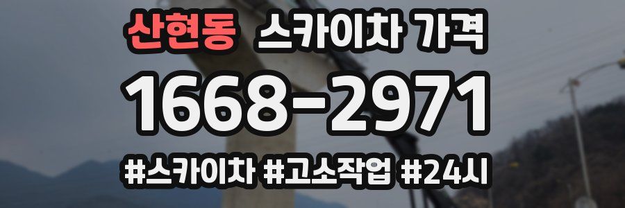 산현동 스카이차 가격