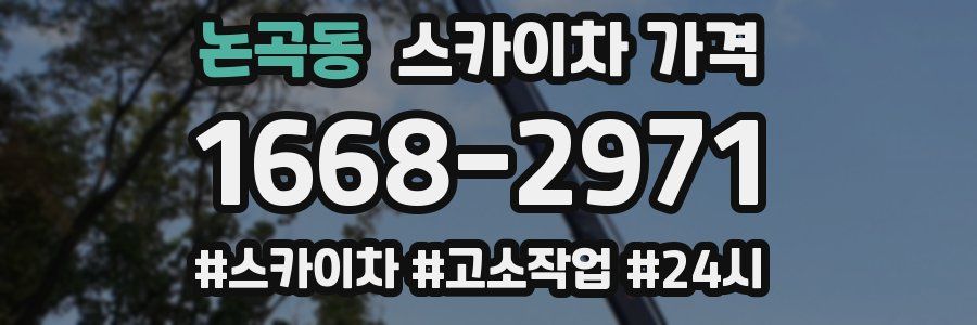 논곡동 스카이차 가격