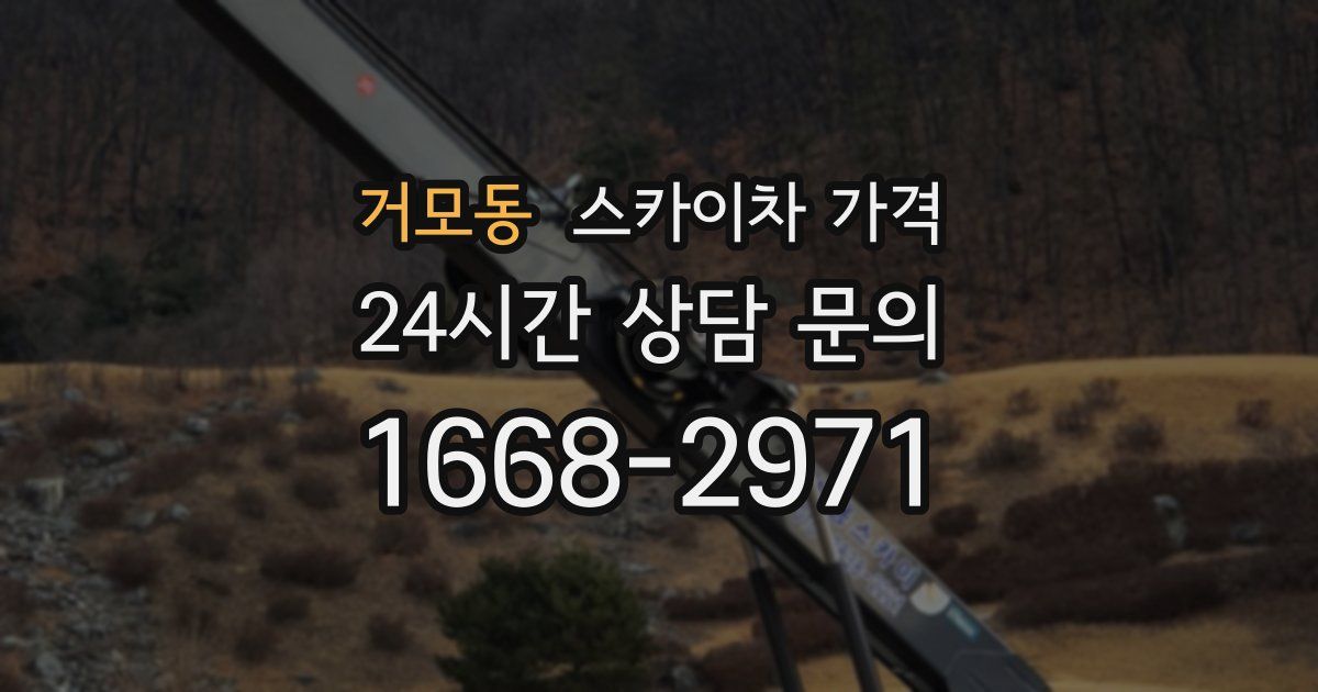 거모동 스카이차 가격