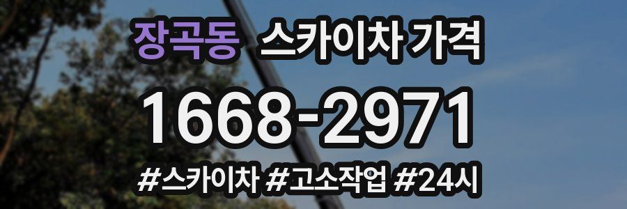 장곡동 스카이차 가격