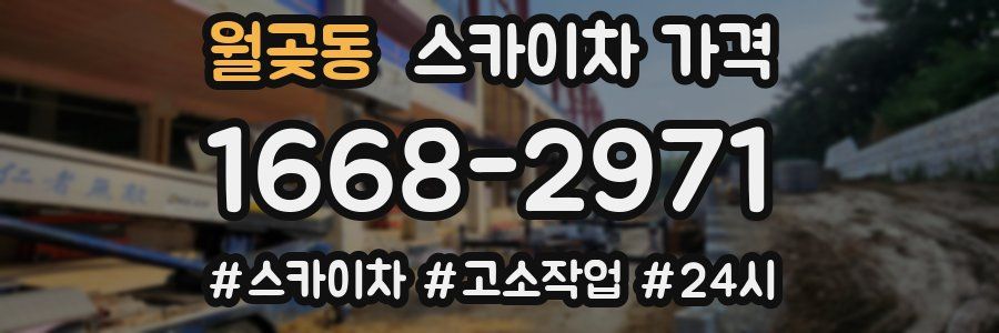 월곶동 스카이차 가격