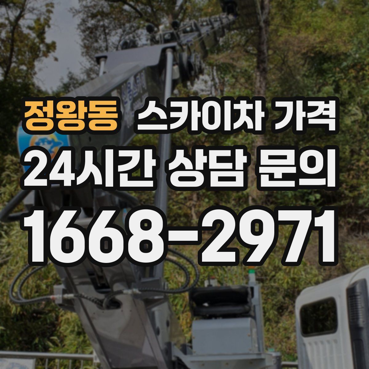 정왕동 스카이차 가격