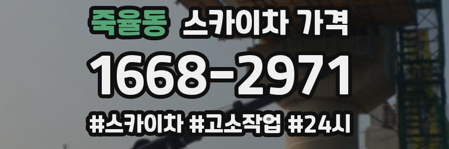 죽율동 스카이차 가격