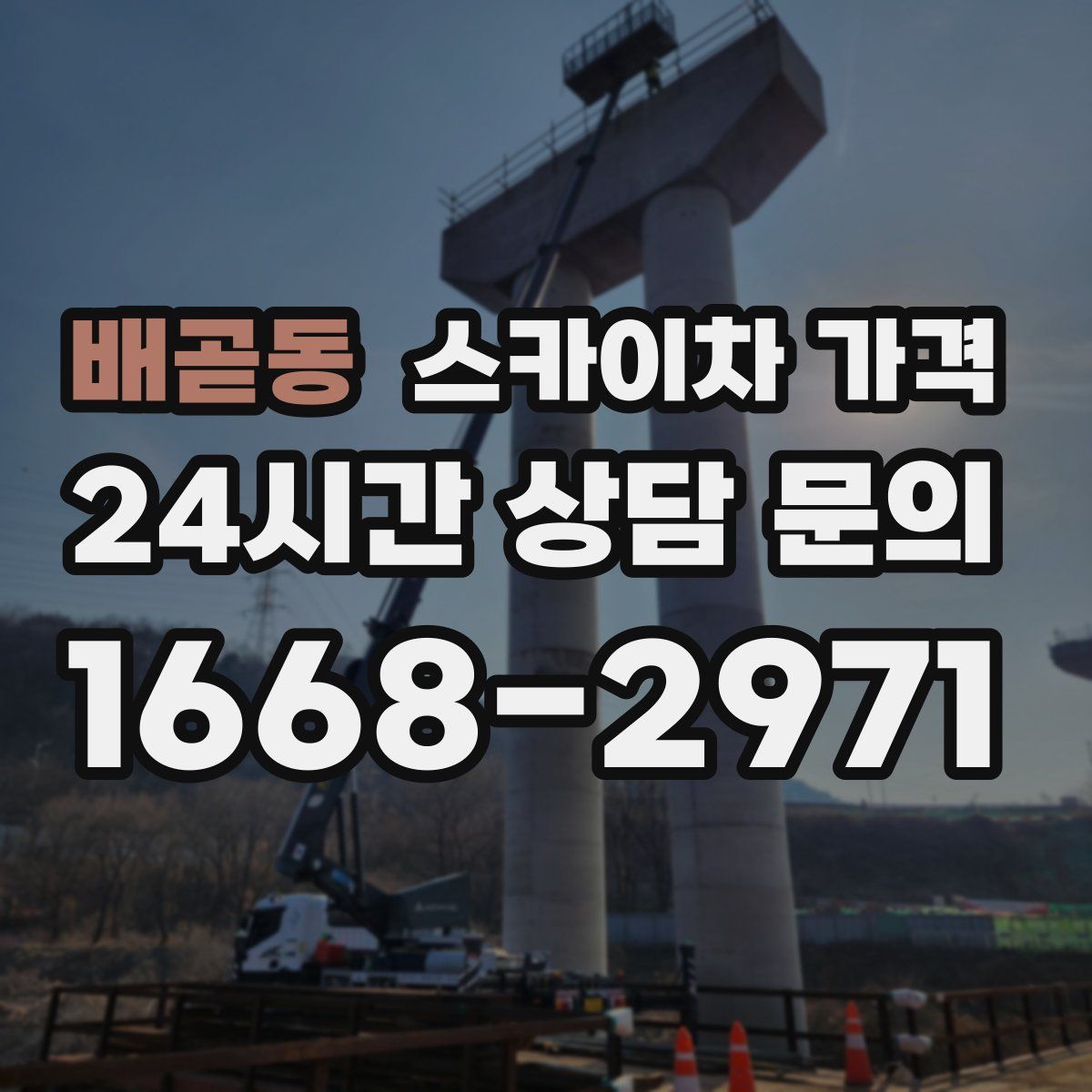 배곧동 스카이차 가격