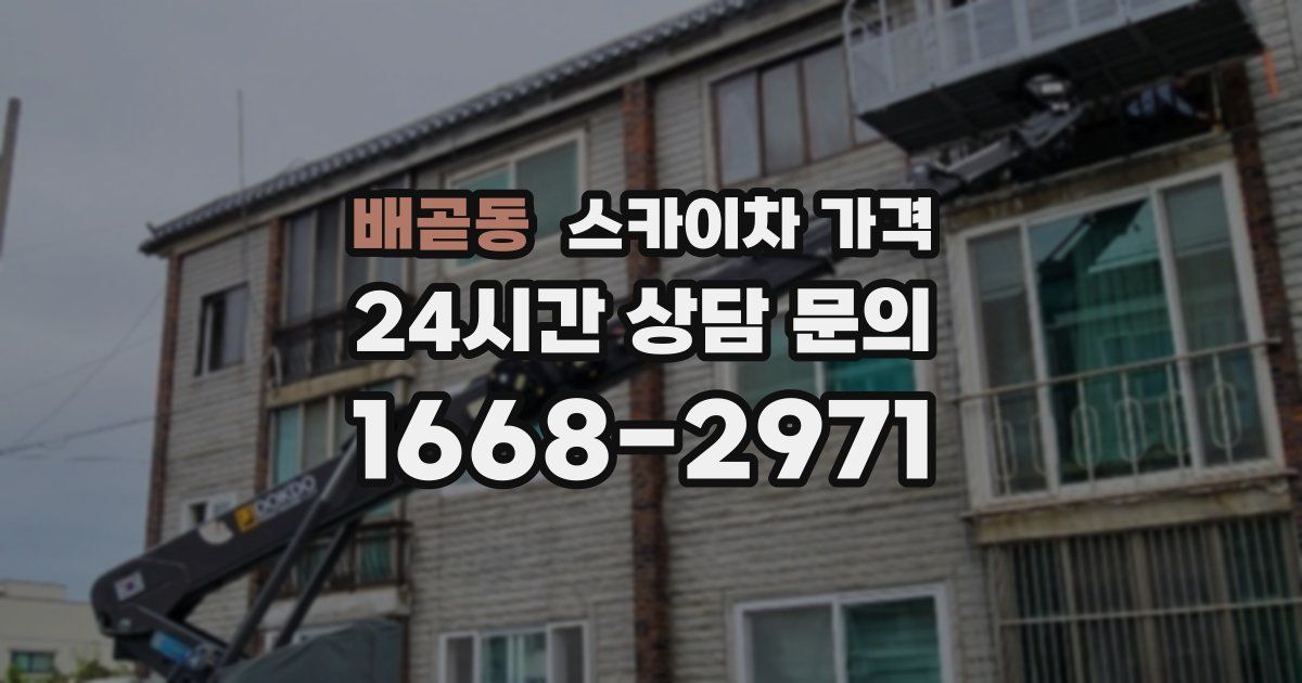 배곧동 스카이차 가격