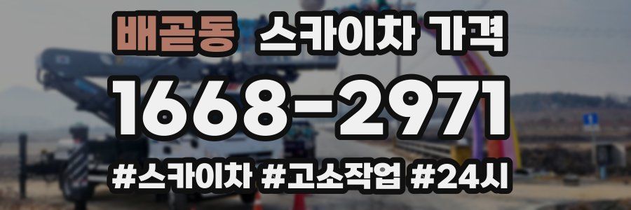 배곧동 스카이차 가격