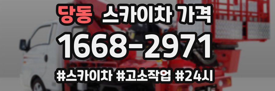 당동 스카이차 가격