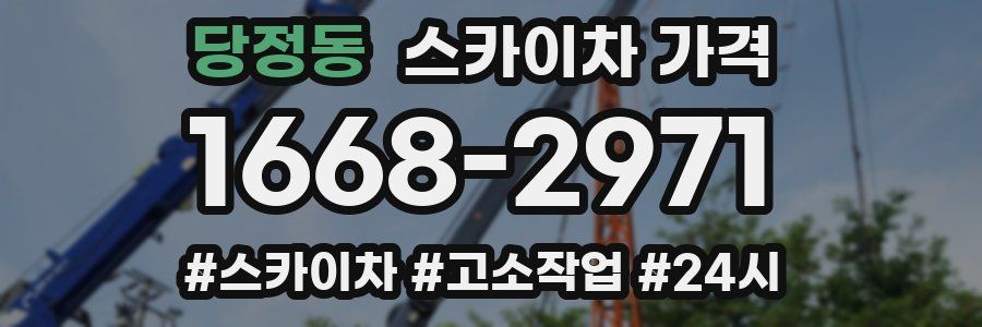 당정동 스카이차 가격