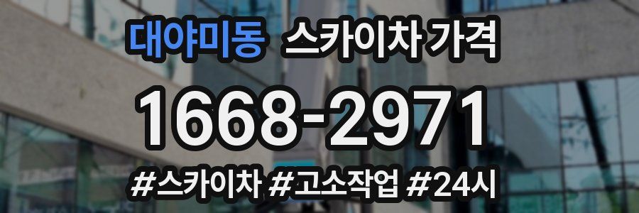 대야미동 스카이차 가격