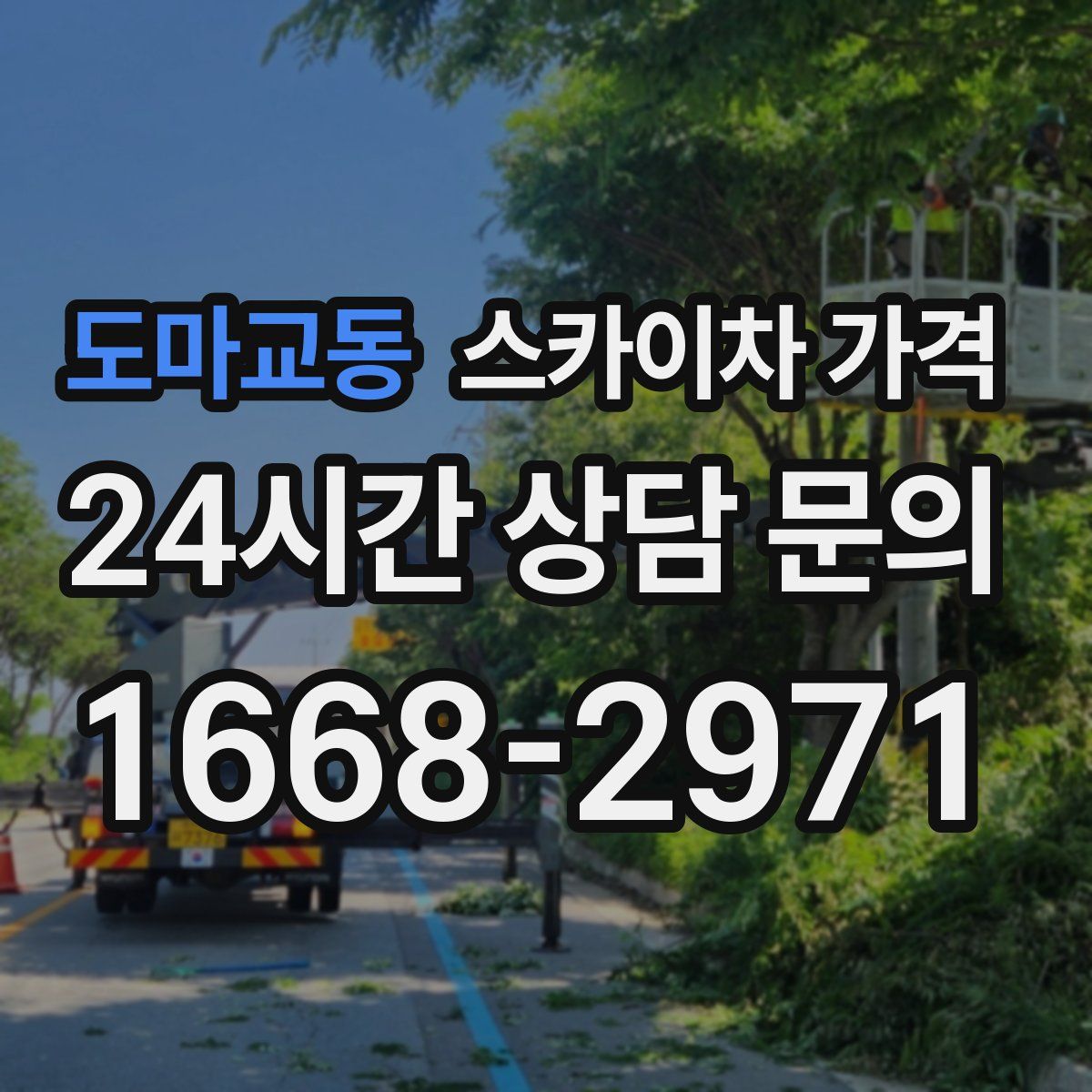 도마교동 스카이차 가격