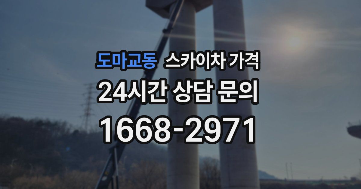 도마교동 스카이차 가격