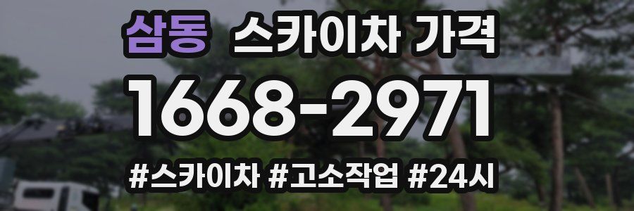 삼동 스카이차 가격