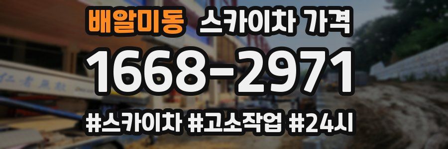 배알미동 스카이차 가격