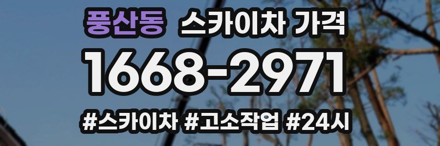 풍산동 스카이차 가격