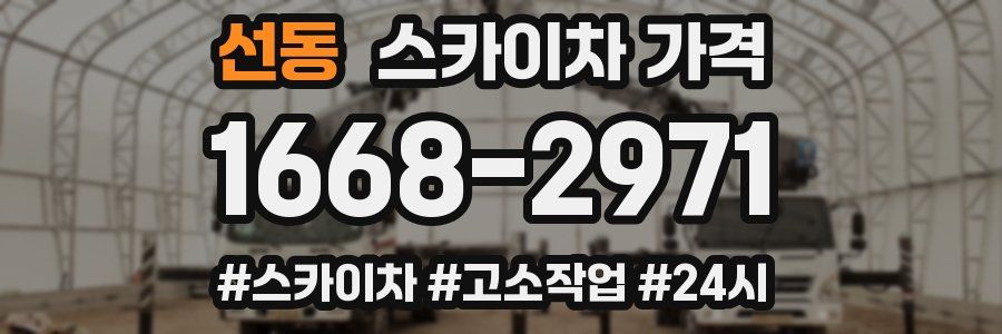 선동 스카이차 가격