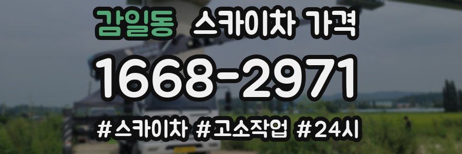 감일동 스카이차 가격