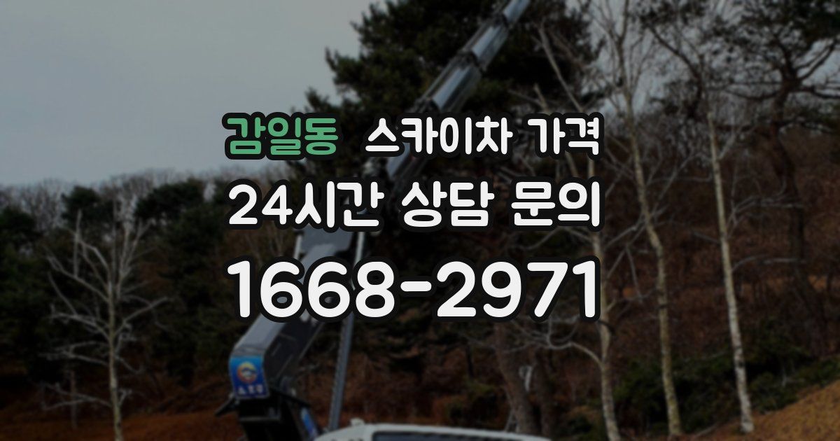 감일동 스카이차 가격