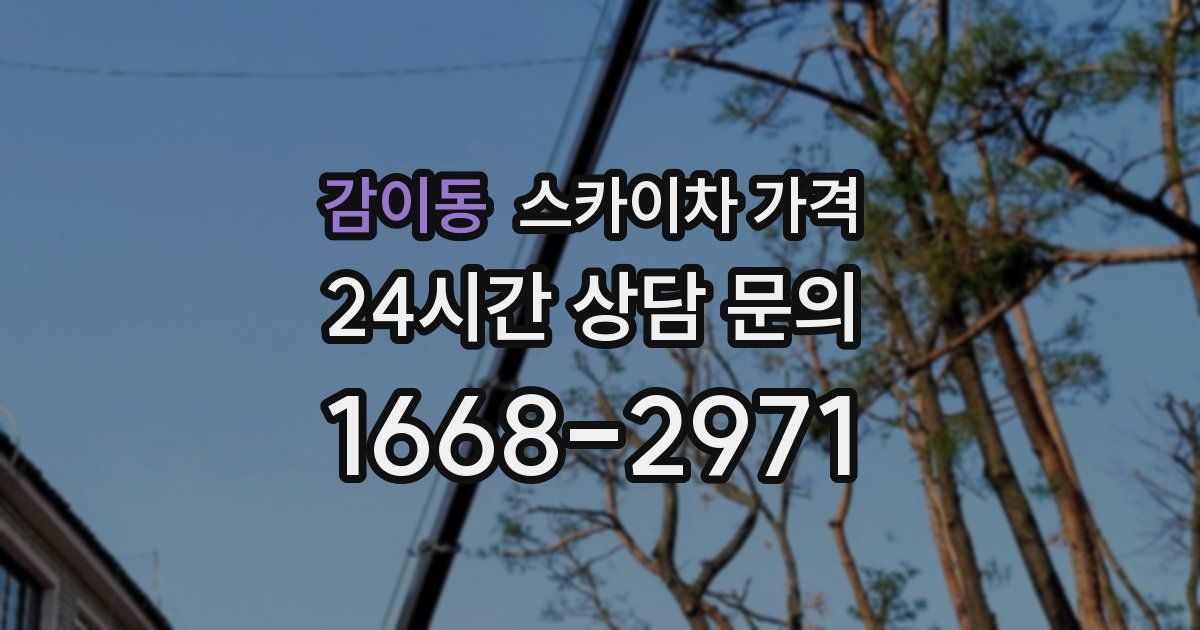 감이동 스카이차 가격