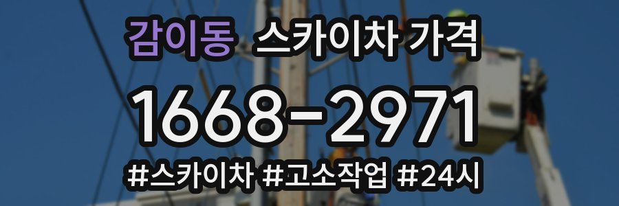 감이동 스카이차 가격