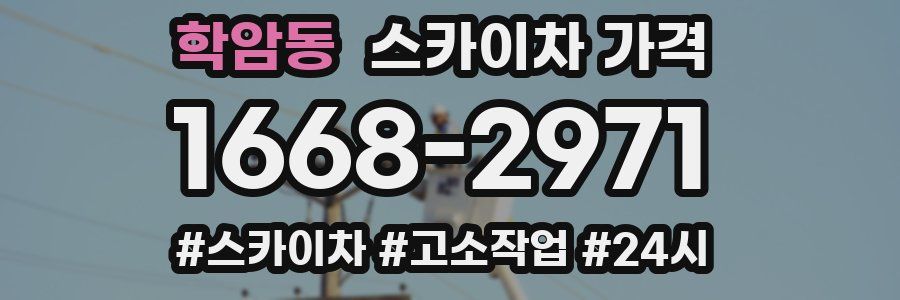 학암동 스카이차 가격