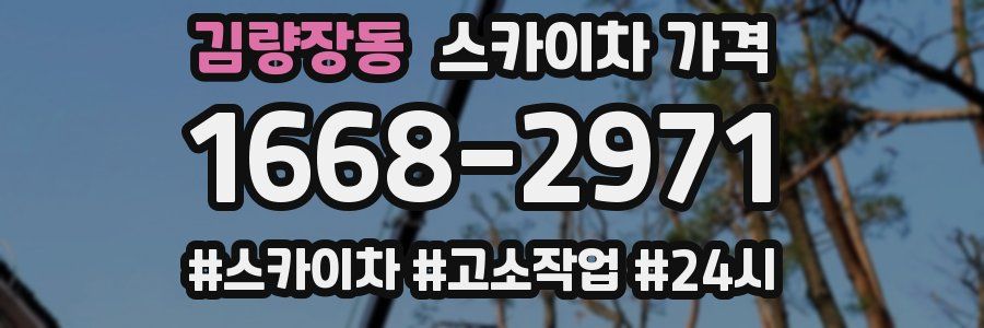 김량장동 스카이차 가격