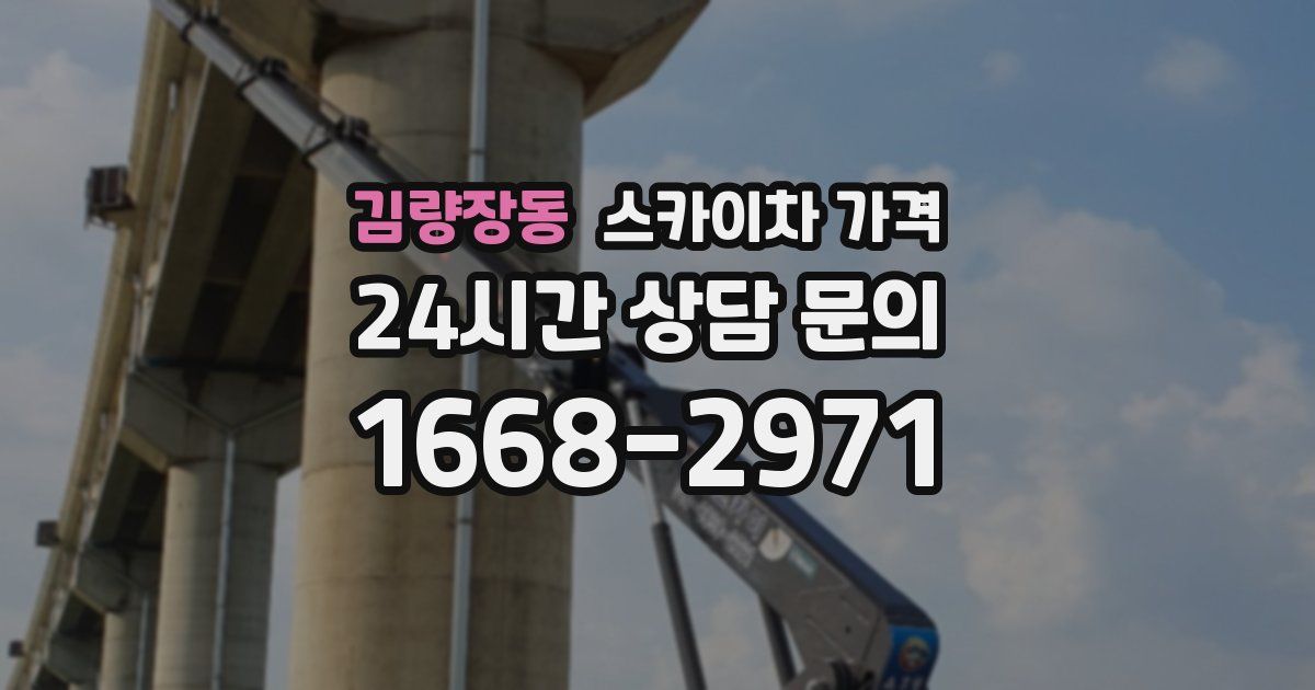 김량장동 스카이차 가격