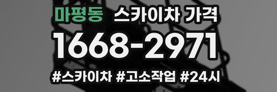 마평동 스카이차 가격